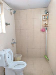 Common Bathroom Image of 860 Sq.ft 2 BHK Apartment / Flat for sale in Electronic City Bengaluru for Rs. 7300000