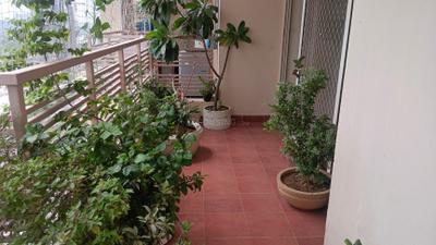 Living Room Image of 2414 Sq.ft 3 BHK Apartment / Flat for sale in Solutrean Caladium, Sector 109 Gurgaon for Rs. 23500000