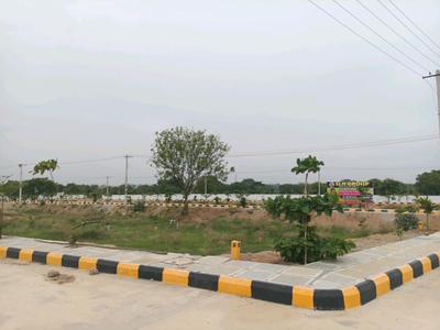 IDA Plot View 1