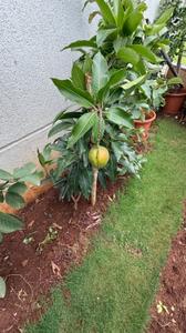 Image of 4250 Sq.ft 5 BHK Apartment / Flat for sale in Bavdhan, Pune for Rs. 70000000