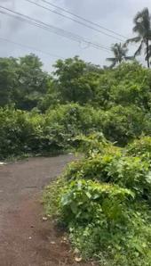 Image of 2025 Sq.ft Residential Plot / Land for sale in Tivim, Goa for Rs. 64800000