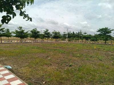 Kandi Plot View 2