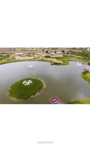 Residential Plot