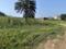 Gamharia Main Image 1