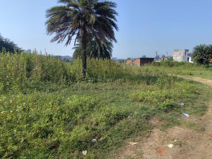 Gamharia Main Image 1