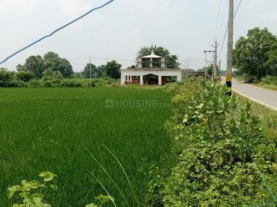 Bihta Plot View 2