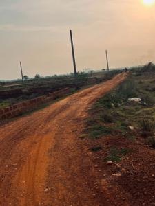 Patrapoda Plot View 1