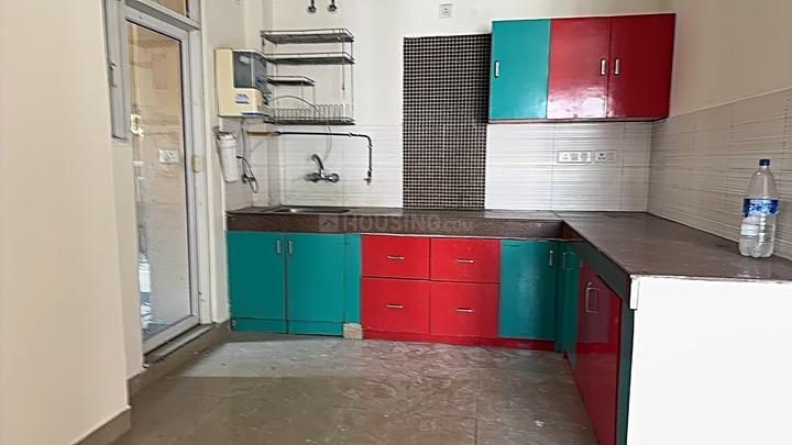 Exotica Dreamville Main Image 1