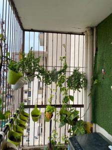 Balcony Image of 504 Sq.ft 2 BHK Apartment / Flat for sale in Origin Floridaa, Sector 82 Faridabad for Rs. 4500000