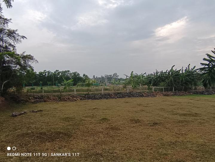 Fariapukur, Shyam Bazar Main Image 1