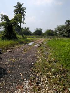 Image of 3600 Sq.ft Residential Plot / Land for sale in Natures Paradise, Joka, Kolkata for Rs. 1125000