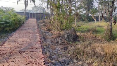 Birlapur Plot View 2