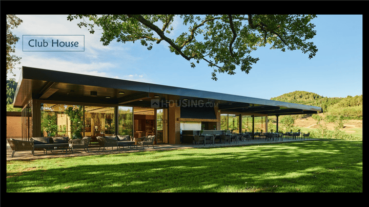 Blue peak Main Image 1