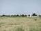 Sector 77 Plot View 2