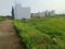 Priyadarshni Colony Plot View 2