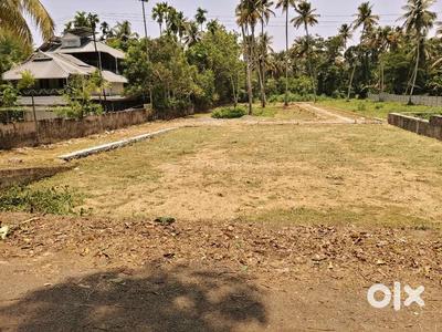 Image of 162 Sq.ft Residential Plot / Land for sale in Sector 20, Noida for Rs. 50000000
