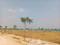 Sangareddy Plot View 2