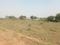 MAHARA Basti Durg Chhattisgarhs  Plot View 2