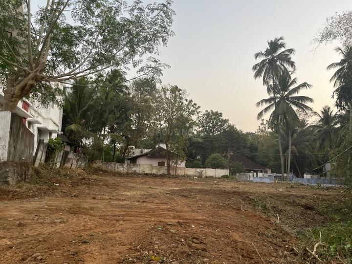 Anikode, Chittur Main Image 1