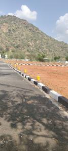 Thuraiyur Plot View 1
