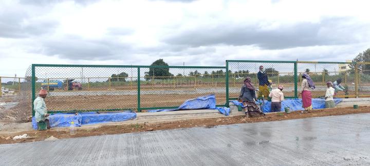 Peresandra Main Image 1