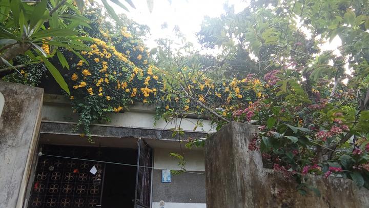 Vizhinjam Main Image 1