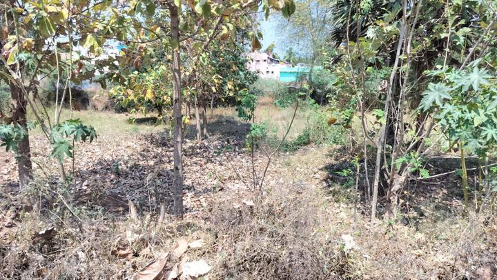 Samayanallur Main Image 1