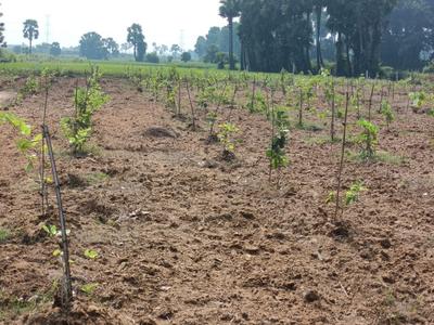 Image of 200 Sq.ft Residential Plot / Land for sale in Kothavalasa, Visakhapatnam for Rs. 1200000