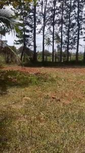 Image of 91476 Sq.ft Residential Plot / Land for sale in Nandi Hills, Chikballapur District for Rs. 126000000