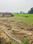 Kanhauli Main Image 1