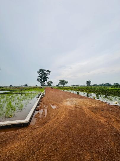 Old Dhamtari Road Main Image 1