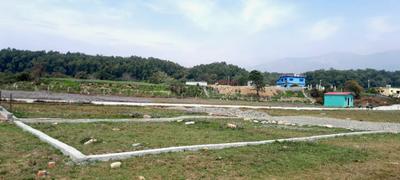 Bhadraj enclave  Plot View 2