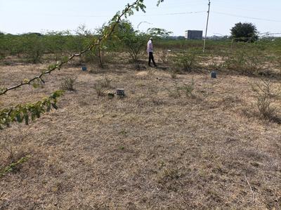 Residential Plot