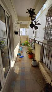 Balcony Image of 1200 Sq.ft 2 BHK Apartment / Flat for rent in C V Raman Nagar Bengaluru for Rs. 38000