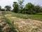 Golden city 2 Plot View 2