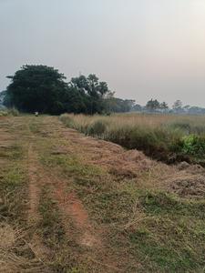 Image of 2000 Sq.ft Residential Plot / Land for sale in Phulnakhara, Cuttack for Rs. 3200000