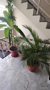 Balcony Image of 2007 Sq.ft 3 BHK Independent House for sale in Dhabli Indore for Rs. 7000000