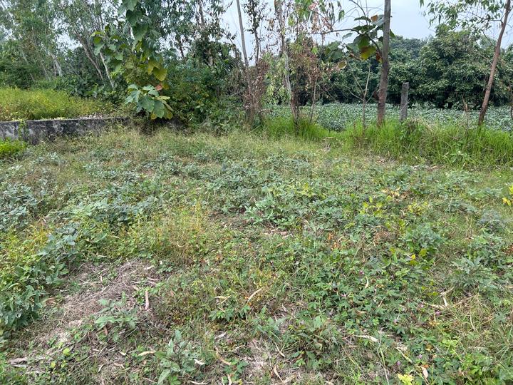 Karanpur Main Image 1