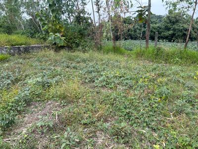 Image of 1080 Sq.ft Residential Plot / Land for sale in Ramnagar, Nainital for Rs. 1350000