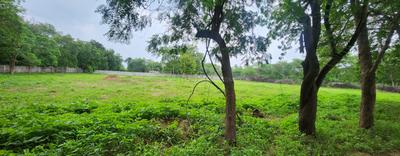 Sardar garma Plot View 1