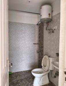 Bathroom Image of 2400 Sq.ft 4.5 BHK Apartment / Flat for sale in Tulip Ivory, Sector 70 Gurgaon for Rs. 30000000