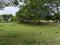 VGN Sarang Main Image 1