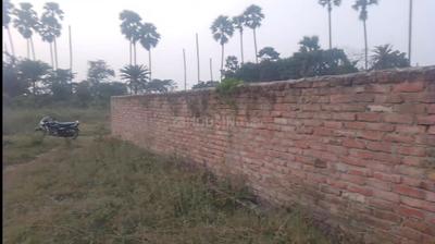 Image of 1440 Sq.ft Residential Plot / Land for sale in Habibpur, Bhagalpur for Rs. 1100000