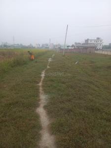 Image of 9520 Sq.ft Residential Plot / Land for sale in Bodh Gaya, Gaya for Rs. 3700000
