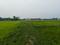 Sonarpur Main Image 1