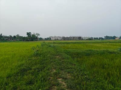 Sonarpur Plot View 3