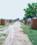 Baraulikhalilabad Plot View 2