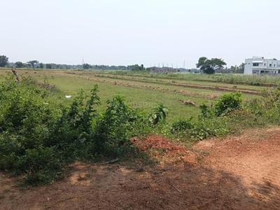 Image of 1728 Sq.ft Residential Plot / Land for sale in Pipili, Puri for Rs. 1382400