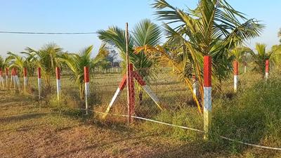 Image of 1200 Sq.ft 1 BHK Farm House for sale in Madurantakam, Chennai for Rs. 4000000