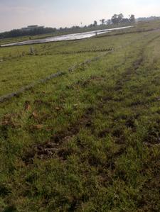 Image of 1200 Sq.ft Residential Plot / Land for sale in Fraser Road Area, Patna for Rs. 900000